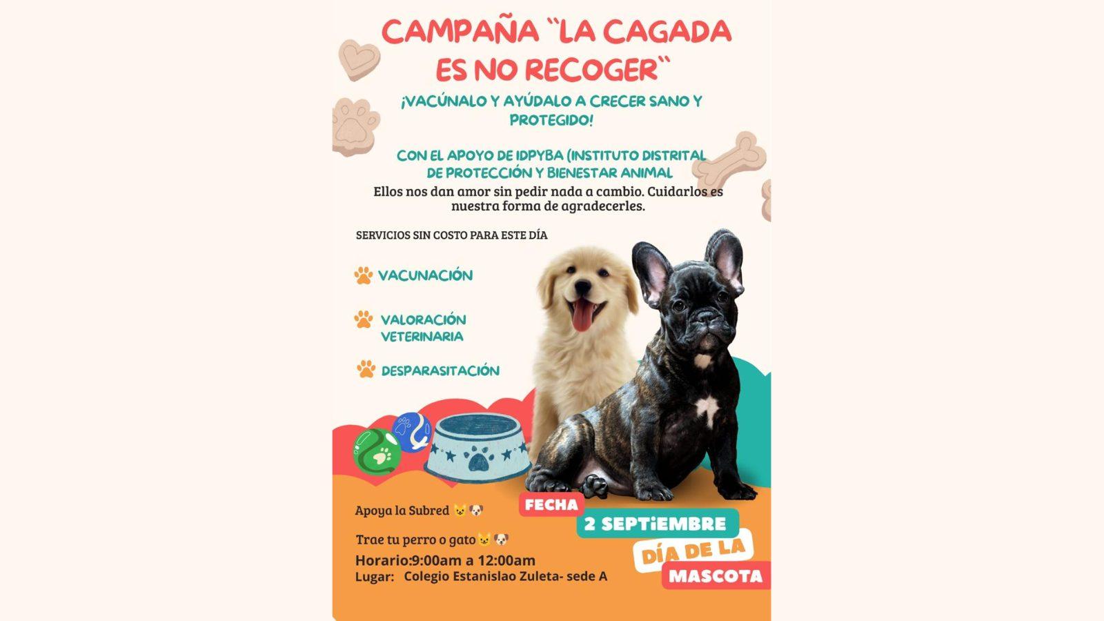 Usme tendrá jornada gratuita de vacunación y atención veterinaria para perros y gatos